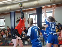 DSC09097